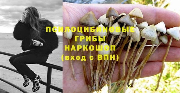 не бодяженный Волоколамск