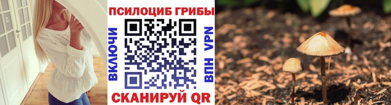 Галлюциногенные грибы мицелий  дарк нет клад  Кызыл  гидра ТОР 